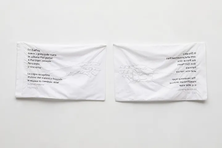 In dreams（《Migran-t》系列），2020-2021年。带有发绣图案的枕套。
每个80x50公分，整个装置为153x50公分。摄：Catalina Romero
