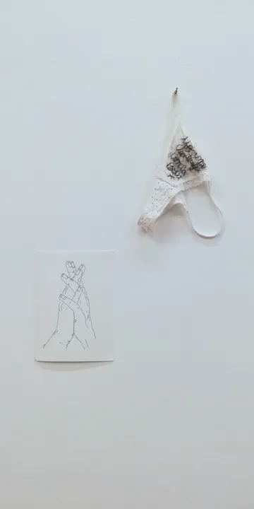 Invitadisimes show at Munar (Buenos Aires, Argentina). Final show of critical group study organised by Flavia Da Rin. 
Panties and paper embroidered with human hair.