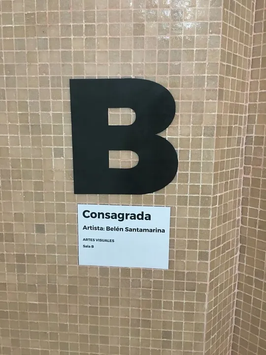干预活动 n#7 · Sala B (B展厅)\ 布宜诺斯艾利斯市雷科莱塔文化中心（CCR）\ 帆布、亚克力颜料。尺寸可变。