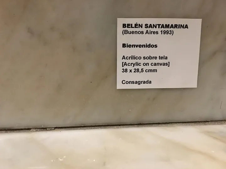 Consagrada, Intervención n#10 · Welcome (Bienvenidos)
Museo de Arte Latinoamericano de Buenos Aires MALBA, Buenos Aires, Argentina. 
Tela, pintura acrílica, papel.