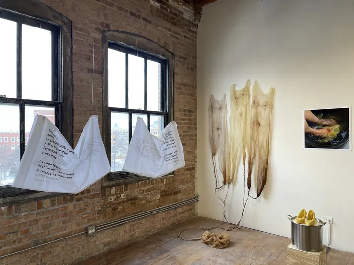 《In dreams》（《Migran-t》系列），2020-2021年。带有发绣图案的枕套。
《Word of Mouth》由Rosalyn D’Mello策展，于芝加哥Woman Made Gallery展出（美国，2022年）