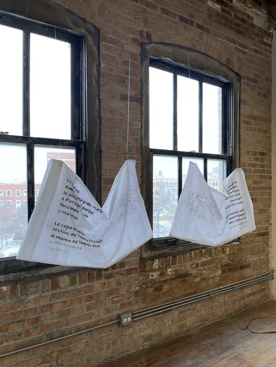 《In dreams》（《Migran-t》系列），2020-2021年。带有发绣图案的枕套。
《Word of Mouth》由Rosalyn D’Mello策展，于芝加哥Woman Made Gallery展出（美国，2022年）